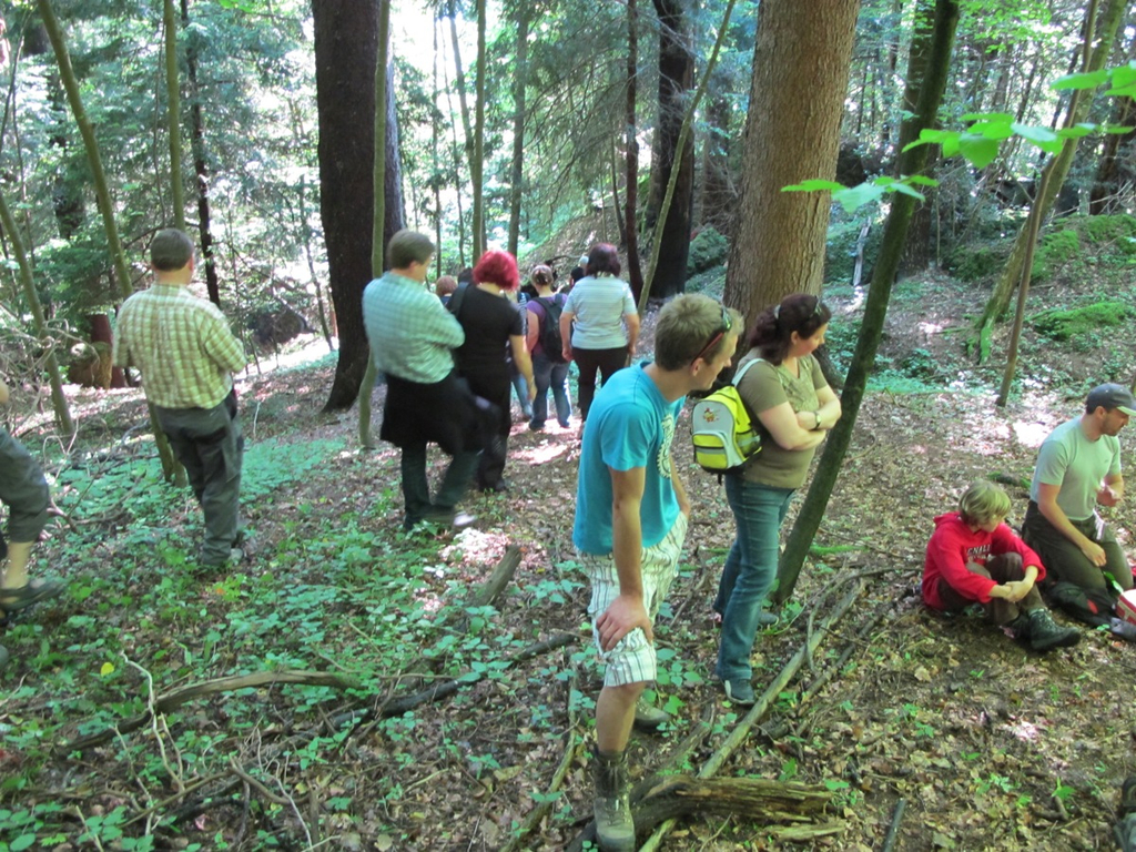 Waldbegehung Urwald erleben _16__JPG-1276113516