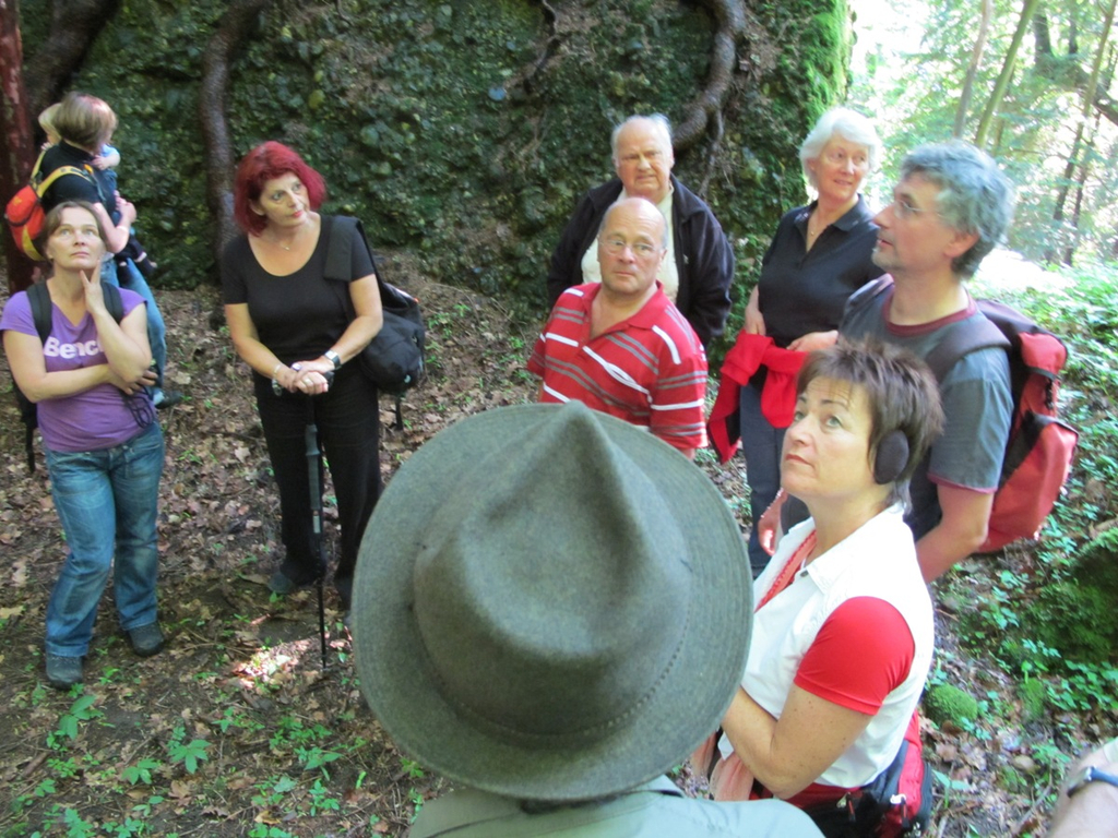 Waldbegehung Urwald erleben _17__JPG-1276113525