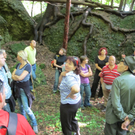 Waldbegehung Urwald erleben _18__JPG-1276113535