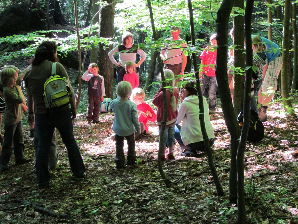 Waldbegehung Urwald erleben _20__JPG-1276113556