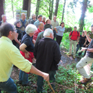 Waldbegehung Urwald erleben _21__JPG-1276113568