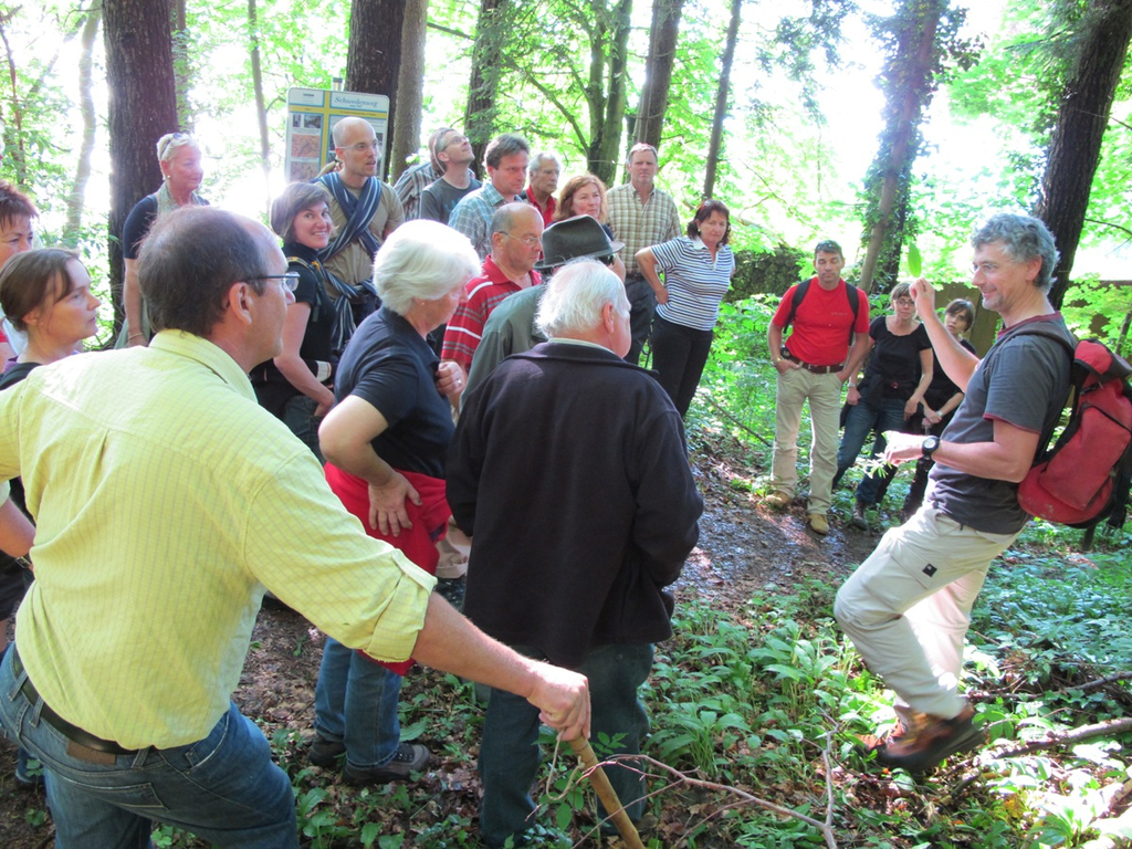 Waldbegehung Urwald erleben _21__JPG-1276113568