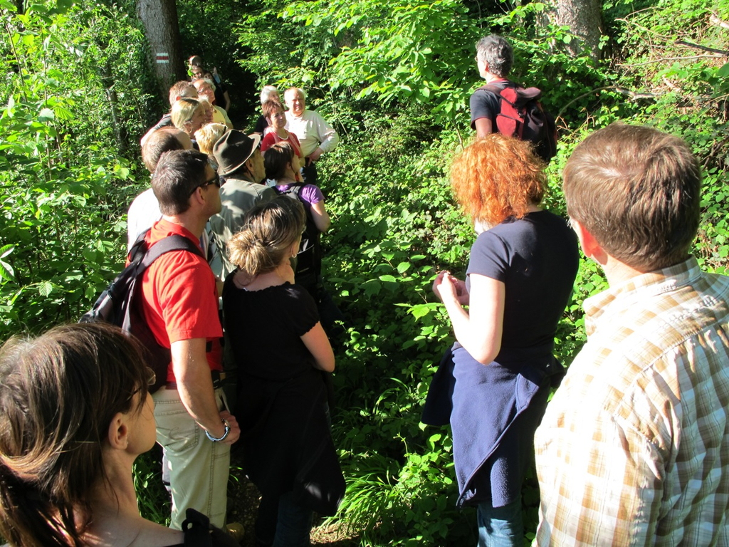 Waldbegehung Urwald erleben _22__JPG-1276113581