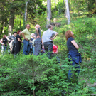 Waldbegehung Urwald erleben _23__JPG-1276113596