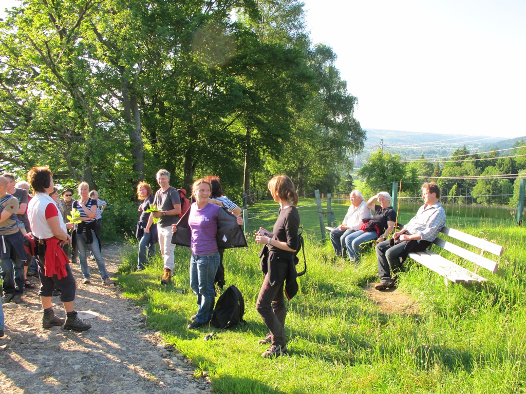 Waldbegehung Urwald erleben _25__JPG-1276113616