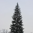 IMG_2822.JPG