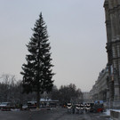 IMG_2823.JPG