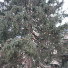 IMG_2845.JPG