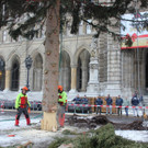 IMG_2857.JPG