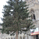 IMG_2858.JPG
