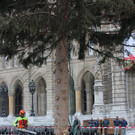IMG_2863.JPG