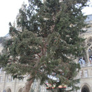 IMG_2866.JPG