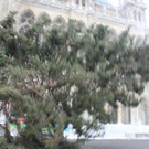 IMG_2867.JPG