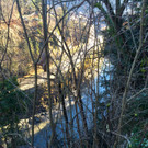 KOE_Weg Margarethenkapf18.jpg