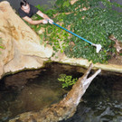 Krokodilfütterung im Haus des Meeres