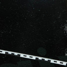 p20701-foto-2.jpg
