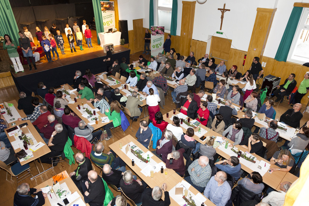 OGV-JHptvers_2016-025.JPG