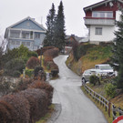 DSC_0350.JPG