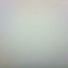 Livecam Bregenz (Bodensee)