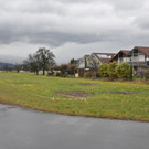 DSC_0015.JPG