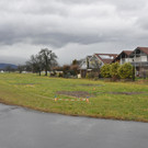 DSC_0016.JPG