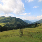 1600.jpg