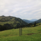 1600.jpg