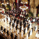 Eindrücke vom Wiener Blumenball