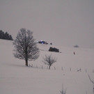 IMG_8719.JPG