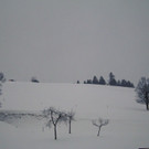 IMG_8726.JPG