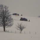 IMG_8723.JPG