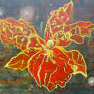_c_ FELNER  Blume 80x60.JPG