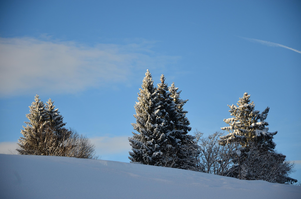 DSC_0830.JPG