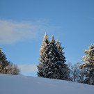 DSC_0830.JPG
