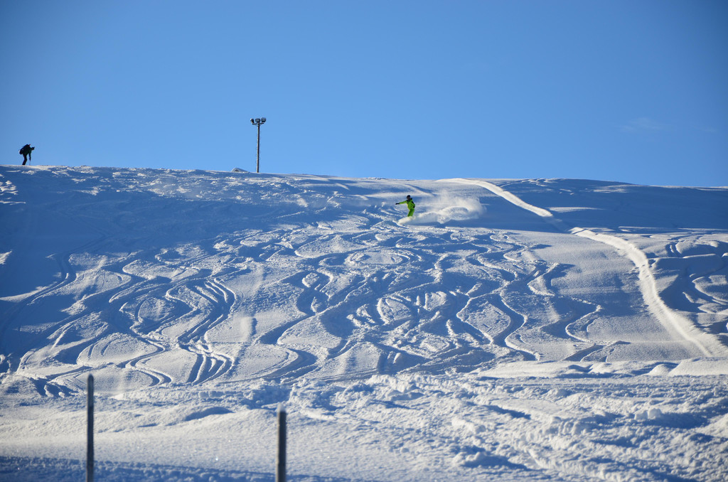 DSC_0849.JPG