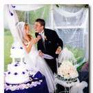 love_that_wedding_cake.jpg