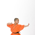 Shaolin Kainersdorfer CD 1 039.jpg