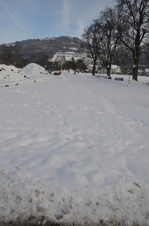 _DSC0213.JPG