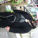 IMG_4670_JPG-1453227999.jpg