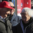 Austria_Alpine_Skiing_World_Cup_8.jpg