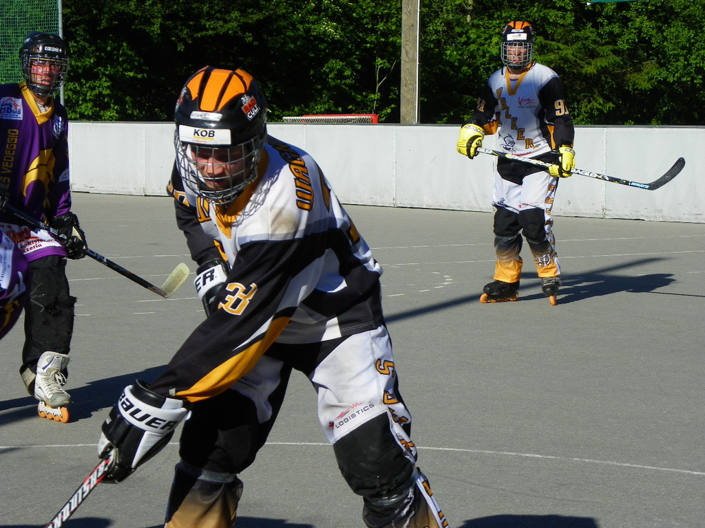 102_2667_jpg-1276207978