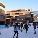 DSC_0398.JPG