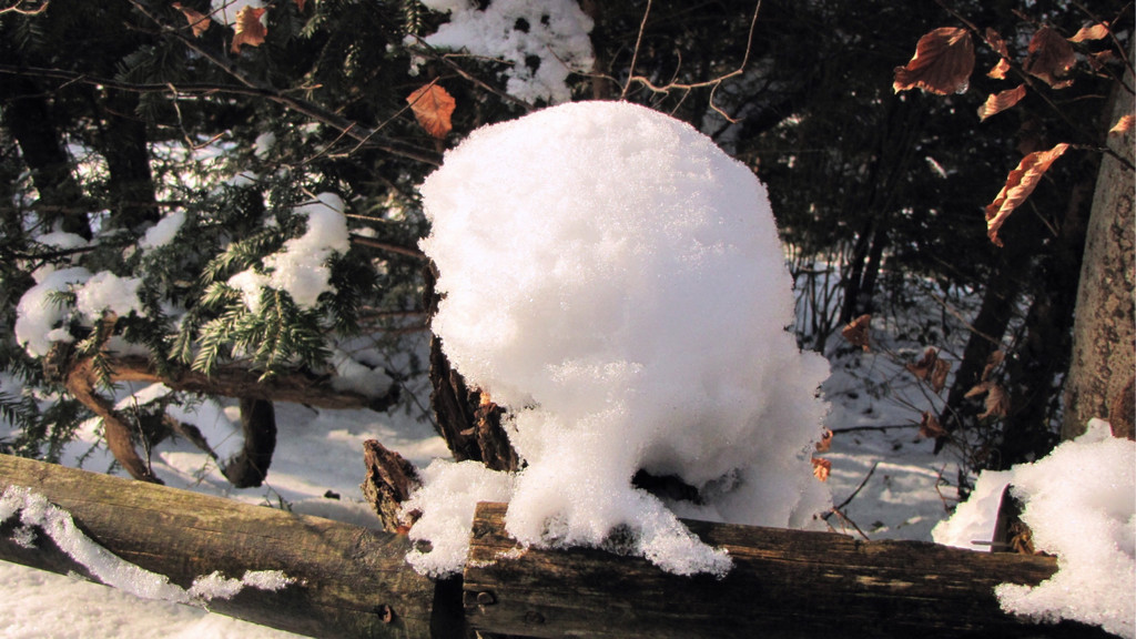 KOE_Wildpark im Winter 3.jpg