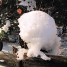 KOE_Wildpark im Winter 3.jpg