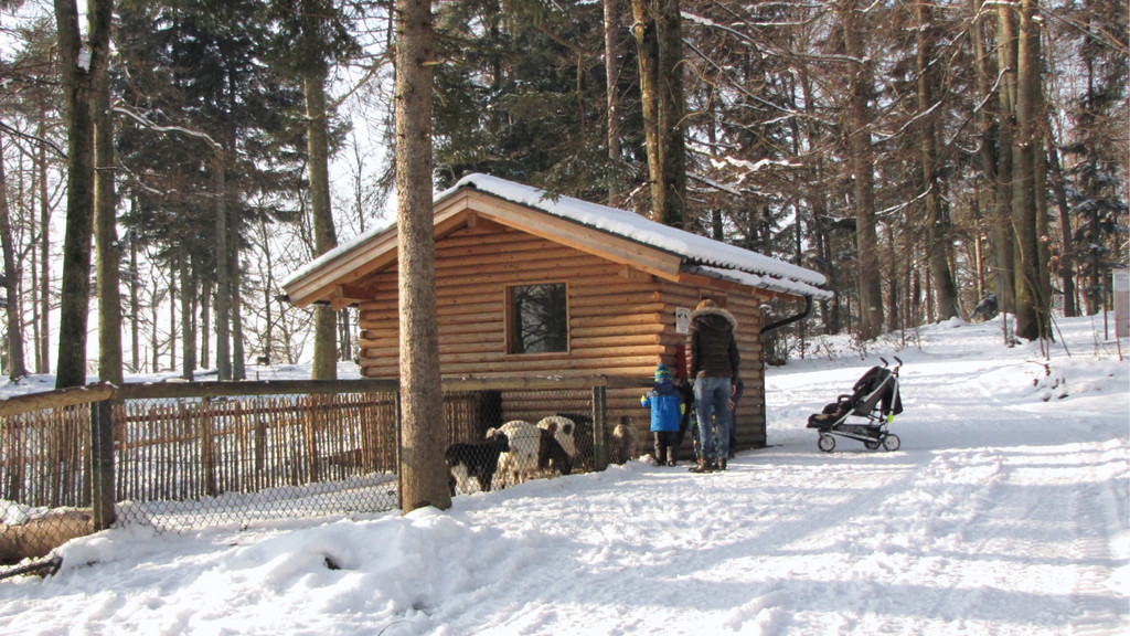 KOE_Wildpark im Winter 9.jpg