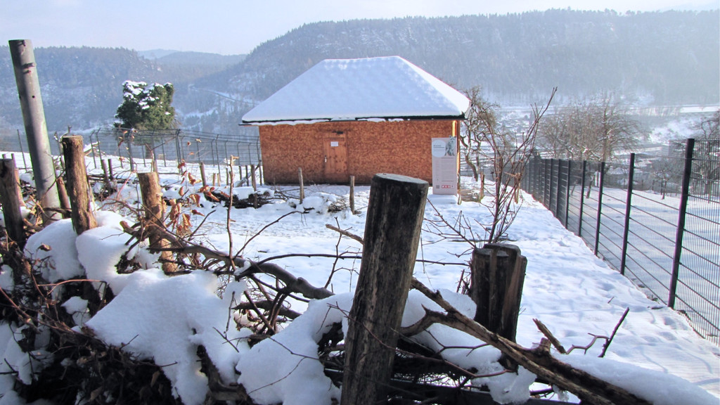 KOE_Wildpark im Winter 13.jpg