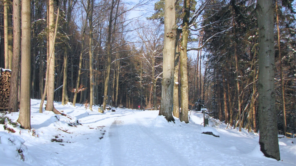 KOE_Wildpark im Winter 14.jpg