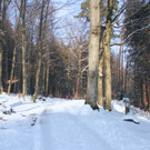 KOE_Wildpark im Winter 14.jpg