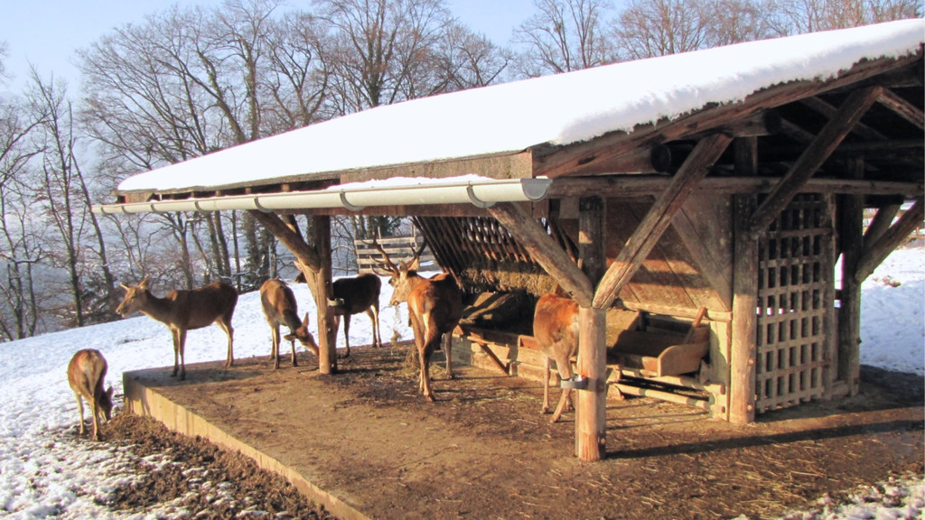KOE_Wildpark im Winter 21.jpg