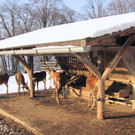 KOE_Wildpark im Winter 21.jpg
